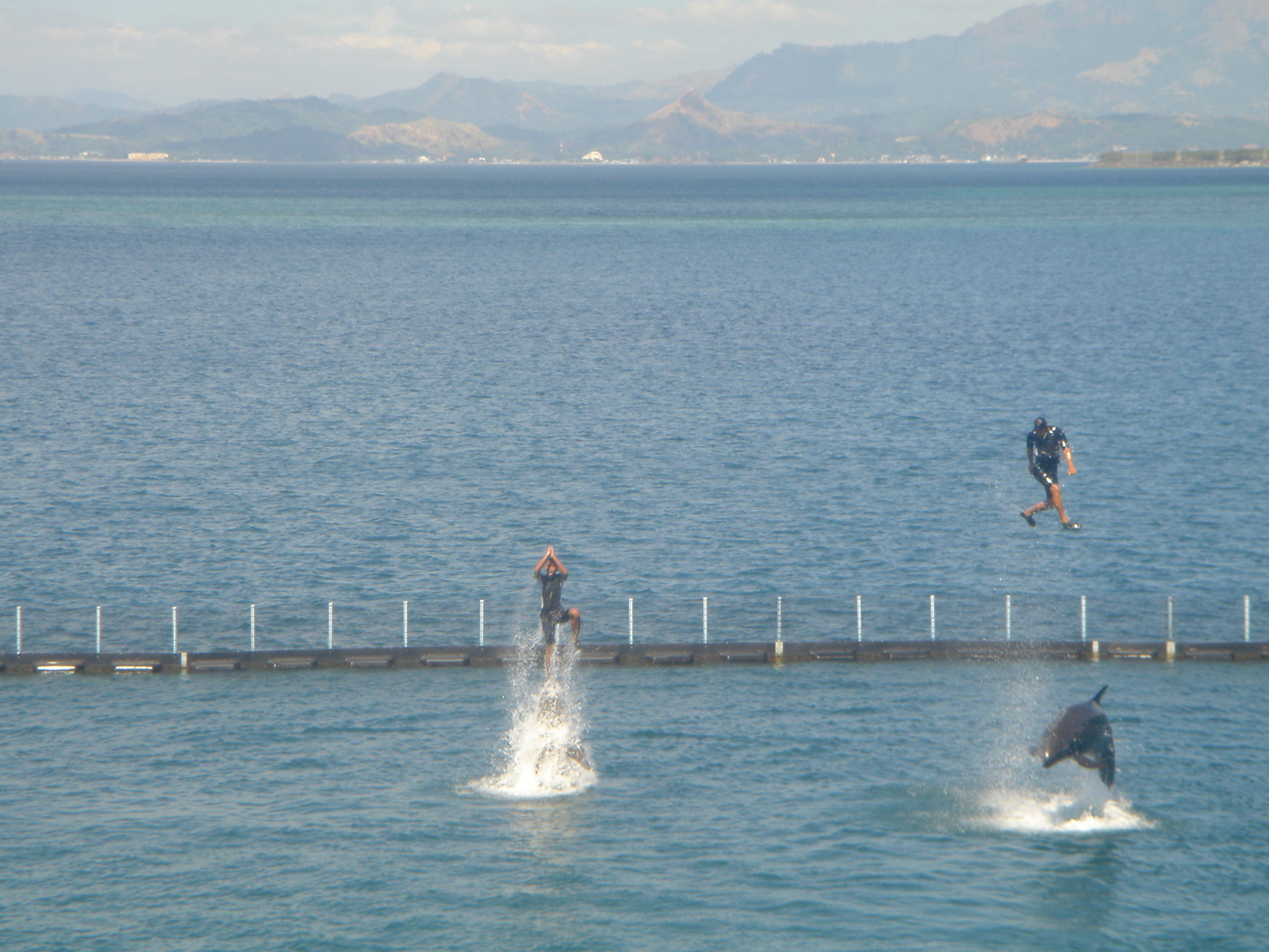 Dolphin show at Subic Bay