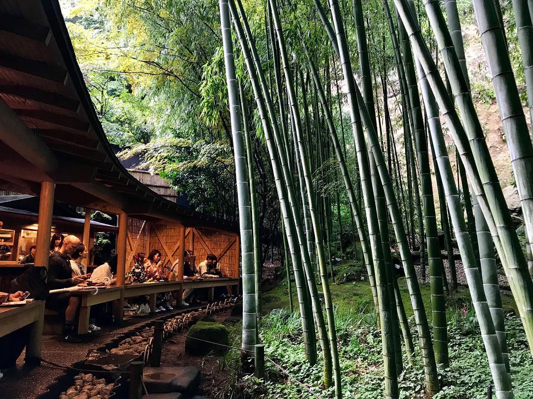 Tea House by the Bamboo Forest